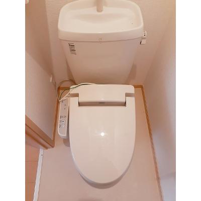 プラシードｋｉ　Ⅱ 104【管理NO：1-016104502-01040】 ★家具家電は申し込み後に搬入します 2026年07月下旬入居可能の物件写真5