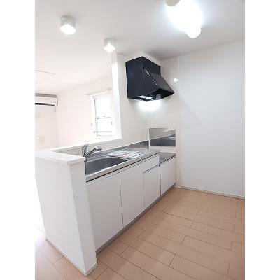 アイリー　Ｂ 201【管理NO：1-018533802-02010】 ★家具家電は申し込み後に搬入しますの物件写真3