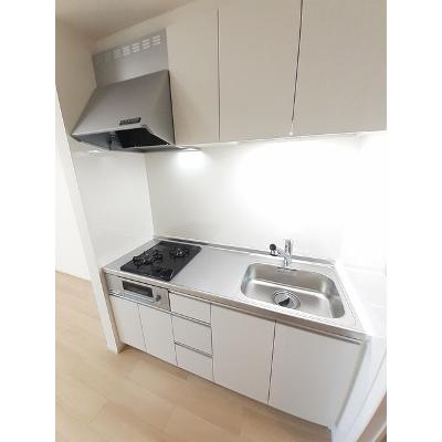 ストームキャット 204【管理NO：1-027253101-02040】 ★家具家電は申し込み後に搬入しますの物件写真3