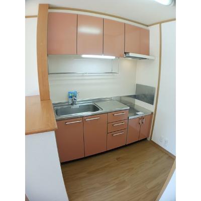 リヴァー 203【管理NO：1-013110701-02030】 ★家具家電は申し込み後に搬入します★ ★2026年09月中旬入居可能★の物件写真3