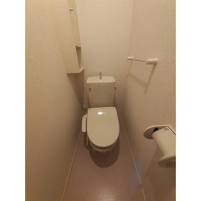 コンフォリアⅡ 101【管理NO：1-022898302-01010】 2026年07月中旬入居可能の物件写真5