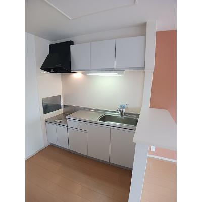 Ｆｒａｎｃ　Ｍａｉｓｏｎ　Ｂ 203【管理NO：1-020076202-02030】 ★家具家電は申し込み後に搬入します★の物件写真3