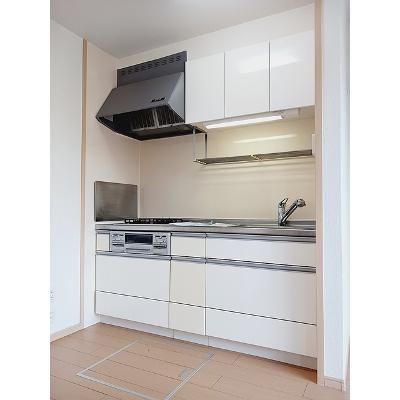 ルックス・ベリターティス 101【管理NO：1-016688801-01010】 ★家具家電は申し込み後に搬入します★の物件写真3