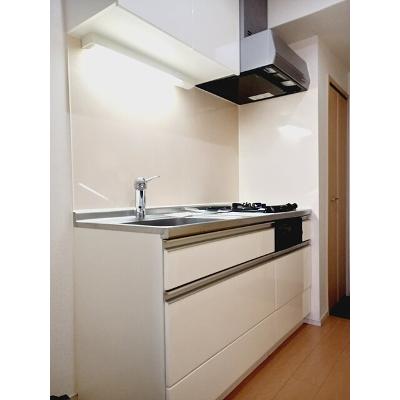ラフィーネ 301【管理NO：1-019747401-03010】 ★家具家電は申し込み後に搬入しますの物件写真3