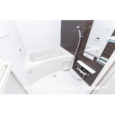 ルミナス　コート 301【管理NO：1-028673201-03010】 ★家具家電は申し込み後に搬入します 2026年11月上旬入居可能の物件写真4