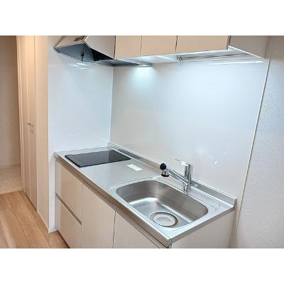 ヒカルサさいたま吉野 305【管理NO：1-028634301-03050】 ★家具家電は申し込み後に搬入します★の物件写真3