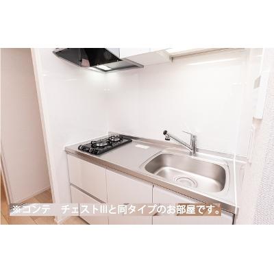 ヒカルサさいたま吉野 201【管理NO：1-028634301-02010】 ★家具家電は申し込み後に搬入します★ ★2026年09月下旬入居可能★の物件写真3