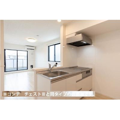 ヒカルサさいたまサクラ 205【管理NO：1-028559601-02050】 ★家具家電は申し込み後に搬入します 2026年10月下旬入居可能の物件写真3