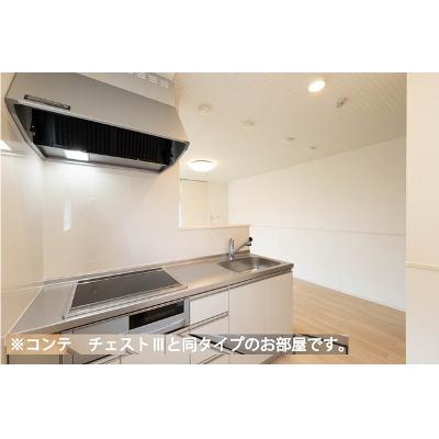 ヒカルサさいたまサクラ 201【管理NO：1-028559601-02010】 ★家具家電は申し込み後に搬入します 2026年10月下旬入居可能の物件写真3
