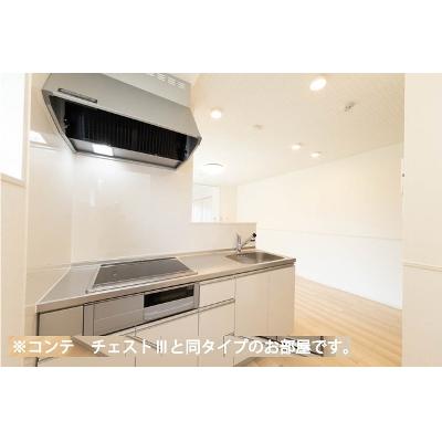 ヒカルサさいたまサクラ 101【管理NO：1-028559601-01010】 ★家具家電は申し込み後に搬入します 2026年10月下旬入居可能の物件写真3