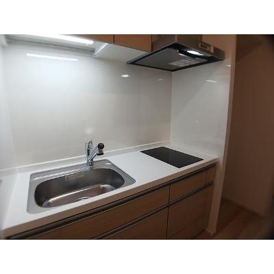 サピーⅡ 301【管理NO：1-028717201-03010】 ★家具家電は申し込み後に搬入します★の物件写真3
