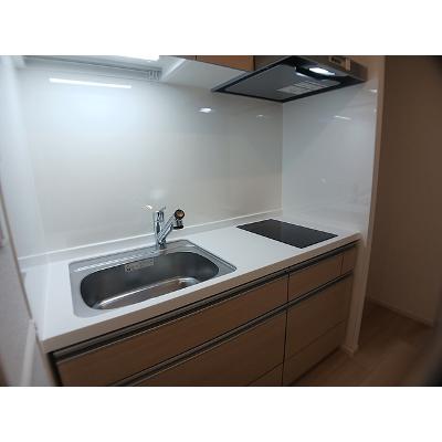 サピーⅡ 201【管理NO：1-028717201-02010】 ★家具家電は申し込み後に搬入します★の物件写真3