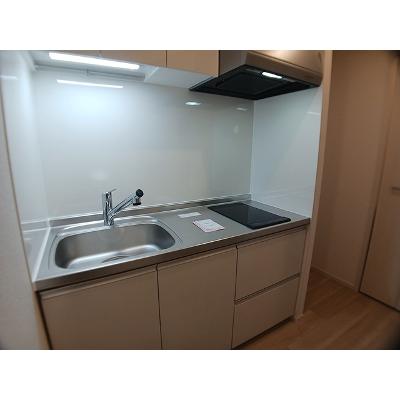 リッシュ 205【管理NO：1-028619001-02050】 ★家具家電は申し込み後に搬入します★の物件写真3