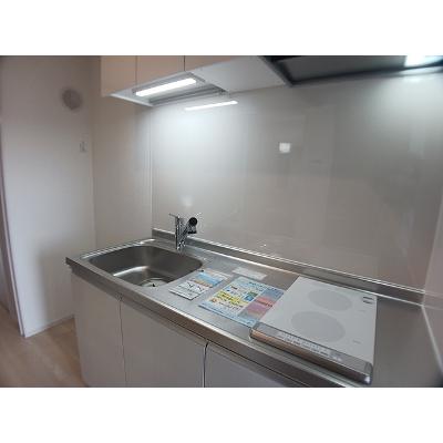 ヒカルサ川口芝西 304【管理NO：1-028499901-03040】 ★家具家電は申し込み後に搬入します★の物件写真3