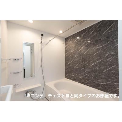 Ａｍｒｉｔａ　Ⅴ 301【管理NO：1-028476201-03010】 ★家具家電は申し込み後に搬入します★ ★2026年10月上旬入居可能★の物件写真4