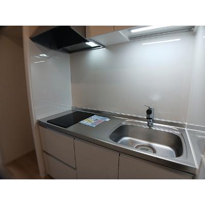 ヒカルサ東川口 302【管理NO：1-028349401-03020】 ★家具家電は申し込み後に搬入します★の物件写真3