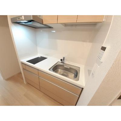エクセレンス　ジーニアス 202【管理NO：1-027243101-02020】 ★家具家電は申し込み後に搬入しますの物件写真3