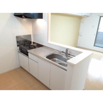 Ｌａ　Ｌｕｃｅ．Ｓ．Ⅰ 202【管理NO：1-020128201-02020】 ★家具家電は申し込み後に搬入します★の物件写真3