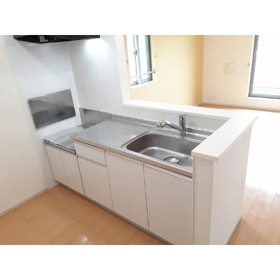アルモニーⅠ 205【管理NO：1-019287401-02050】 ★家具家電は申し込み後に搬入します★の物件写真3