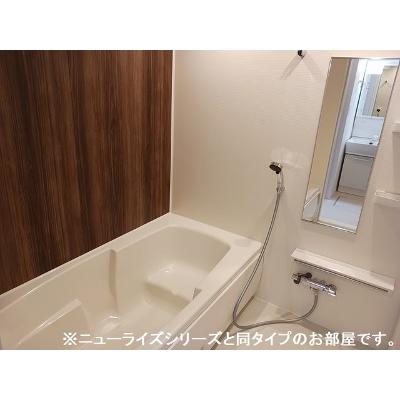 ロイヤル　オーク 202【管理NO：1-028689901-02020】 ★家具家電は申し込み後に搬入します 2026年08月上旬入居可能の物件写真4
