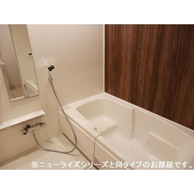 ロイヤル　オーク 103【管理NO：1-028689901-01030】 ★家具家電は申し込み後に搬入します 2026年08月上旬入居可能の物件写真4