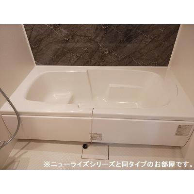 セレナ　ヴィラ　酒門　ウエスト 204【管理NO：1-028630801-02040】 2026年10月上旬入居可能の物件写真4