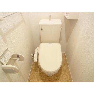 パティオスカイ　Ｃ 203【管理NO：1-018975201-02030】 2026年07月下旬入居可能の物件写真5