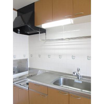 西小路ハイツⅢ 203【管理NO：1-011450001-02030】 ★家具家電は申し込み後に搬入します★の物件写真3