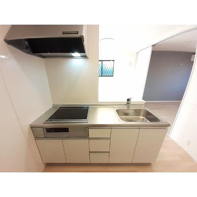 クロスローズ　パレス 101【管理NO：1-027281101-01010】 ★家具家電は申し込み後に搬入しますの物件写真3