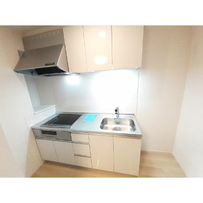 ジプソフィル 102【管理NO：1-027151401-01020】 ★家具家電は申し込み後に搬入します★の物件写真3