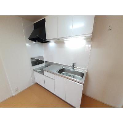 パーク　サイド　エイシュウ 202【管理NO：1-018210201-02020】 ★家具家電は申し込み後に搬入しますの物件写真3