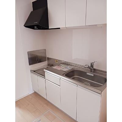 カラカル 102【管理NO：1-021473701-01020】 ★家具家電は申し込み後に搬入します★の物件写真3
