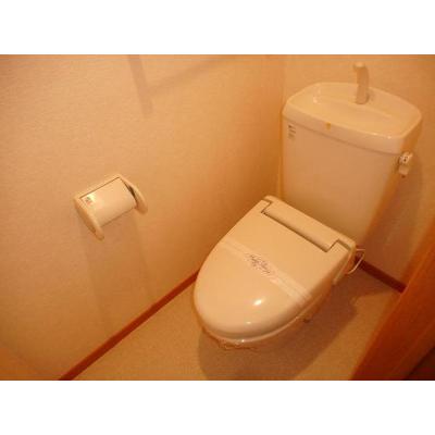 パシフィックコーストⅡ 203【管理NO：1-013186602-02030】 ★家具家電は申し込み後に搬入します★ ★2026年09月中旬入居可能★の物件写真5