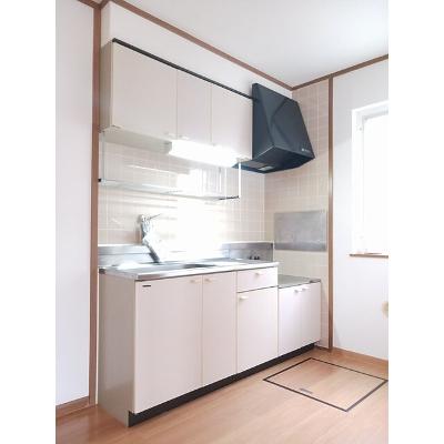 ディスカバリーⅡ 103【管理NO：1-009474802-01030】 ★家具家電は申し込み後に搬入しますの物件写真3