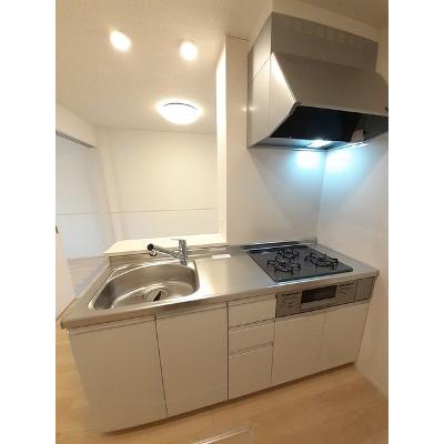 パレス　ハンド　Ⅰ 102【管理NO：1-027170401-01020】 ★家具家電は申し込み後に搬入します★の物件写真3