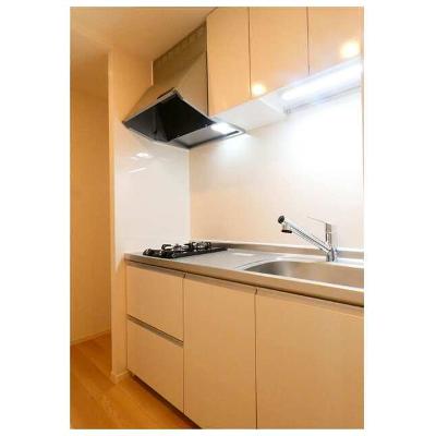 グラース（ＧＲＡＣＥ） 205【管理NO：1-028498201-02050】 ★家具家電は申し込み後に搬入しますの物件写真3