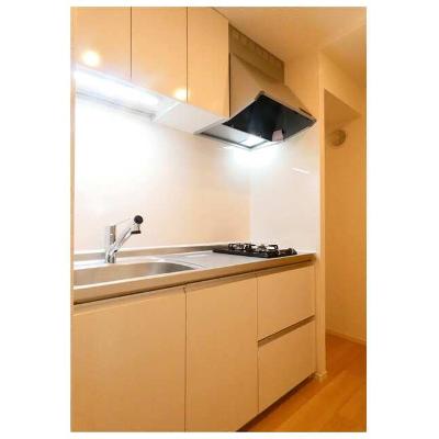 グラース（ＧＲＡＣＥ） 204【管理NO：1-028498201-02040】 ★家具家電は申し込み後に搬入しますの物件写真3