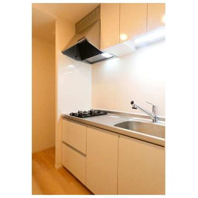 グラース（ＧＲＡＣＥ） 105【管理NO：1-028498201-01050】 ★家具家電は申し込み後に搬入します★の物件写真3
