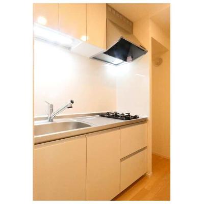 グラース（ＧＲＡＣＥ） 104【管理NO：1-028498201-01040】 ★家具家電は申し込み後に搬入しますの物件写真3