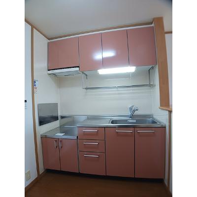 サングリーンＢ 204【管理NO：1-013366202-02040】の物件写真3
