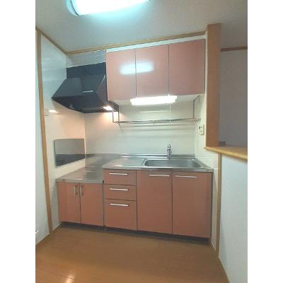 コーストヒルズ 201【管理NO：1-012845301-02010】 ★家具家電は申し込み後に搬入しますの物件写真3