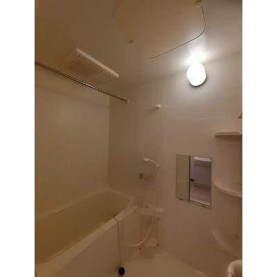 ルミエール 103【管理NO：1-011749301-01030】の物件写真4