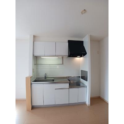 昴 201【管理NO：1-015354301-02010】 ★家具家電は申し込み後に搬入しますの物件写真3