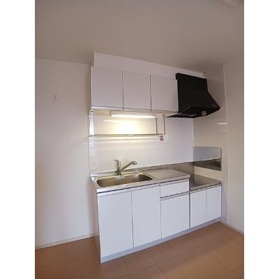Ｔ＆Ａ南Ⅲ 202【管理NO：1-017526503-02020】 ★家具家電は申し込み後に搬入しますの物件写真3