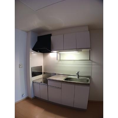 ニューグランツⅡ 103【管理NO：1-015736902-01030】 ★家具家電は申し込み後に搬入しますの物件写真3