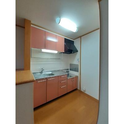 フィオレンテⅠ 203【管理NO：1-013307901-02030】 ★家具家電は申し込み後に搬入します★の物件写真3