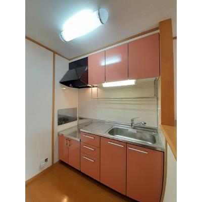 フィオレンテⅠ 201【管理NO：1-013307901-02010】 ★家具家電は申し込み後に搬入しますの物件写真3