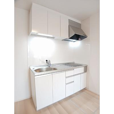 ハマメリース 102【管理NO：1-028050201-01020】 ★家具家電は申し込み後に搬入しますの物件写真3