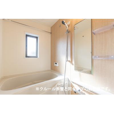 プリマ　オランジェ 206【管理NO：1-028639601-02060】 ★家具家電は申し込み後に搬入します 2026年09月上旬入居可能の物件写真4