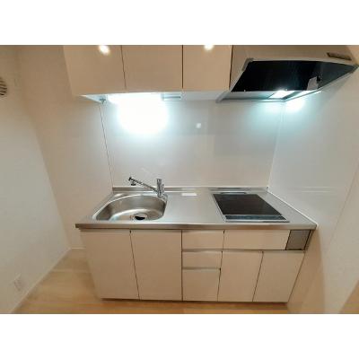 Ｎ・Ｓグランデ 107【管理NO：1-027210301-01070】 ★家具家電は申し込み後に搬入しますの物件写真3